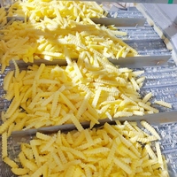 Geavanceerde productielijn voor diepvries frites, aardappelstokjes en crinkle chips: schillen, snijden, blancheren en frituren (200 kg/u, 300 kg/u, 500 kg/u)