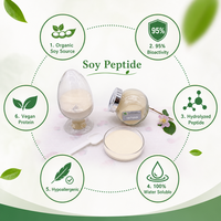 Poudre de peptides de protéines de soja naturelle non-OGM, haute pureté, soluble instantanément pour la nutrition sportive
