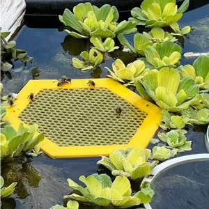 Plastic Bee Feeding and Drinking Tray Hexagonal Floating Board Waterproof Portable Outdoor Garden <b>Tool</b> - Product Image 1