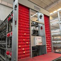 Nouvelle cage à poulets empilable en acier galvanisé à chaud de type H à 4 niveaux, entièrement automatique et personnalisable, durable, durée de vie de 20 à 25 ans