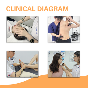 Magicbelle tecar back 4S อุปกรณ์ฟื้นฟูผิวด้วยคลื่นความถี่วิทยุพร้อมหน้าจอสัมผัสสำหรับดูแลร่างกายสัตว์ - Product Image 3