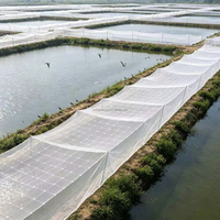 Fabrieksmatig UV-gestabiliseerd landbouwmonofilament anti-vogelnet voor boomgaardbescherming, fruit- en aardbeienkwekerijen