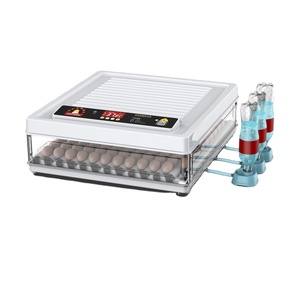Mini incubateur <span class=keywords><strong>à</strong></span> œufs pour 15 œufs, machine d'éclosion <span class=keywords><strong>à</strong></span> prix avantageux <span class=keywords><strong>à</strong></span> <span class=keywords><strong>vendre</strong></span> - Product Image 5