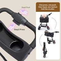 Poussette pliable légère en métal pour animaux de compagnie, avec pare-soleil bidirectionnel, pour chiens et chats, pour les promenades quotidiennes en extérieur