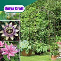 Toproona — arc de mariage en 3d, sillon grimpant en toile de fond, support de plante pour l'extérieur, décoration de jardin pelouse