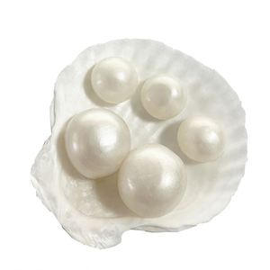 ของเล่นคลายเครียดสุดสร้างสรรค์ บีบมีเสียงดนตรี มุก เปลือกหอย คืนรูปช้า รูปลักษณ์สวยงาม นักเรียนใช้เล่นแกล้งกัน - Product Image 5