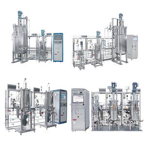 Lab1st coltura cellulare 300l 500l bioreattore industriale bioreattore microbico - Product Image 5