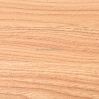 Offre Spéciale : 100 000 Pièces Annuelles – Meubles pour Animaux de Compagnie : Petite Armoire Luxueuse en Panneaux de Particules Virginia avec Coussin pour Chat