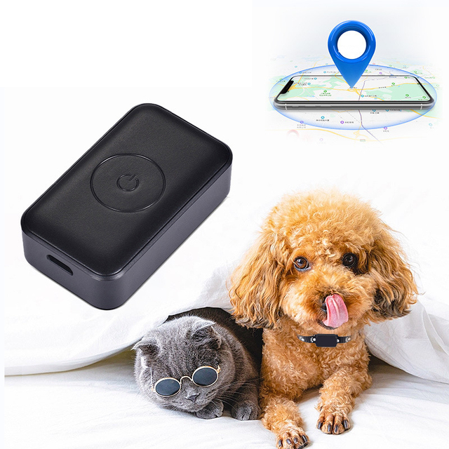 Long-Lasting P03 Mini GPS Pet Collar Locator GSM WiFi Tracker With Safety Fence & Mobile App for Lost Animals Easy Tracking