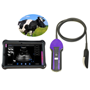 Venta caliente Veterinario <span class=keywords><strong>Comprar</strong></span> Máquina de ultrasonido inalámbrica 3D Máquina de ultrasonido portátil Precio - Product Image 3