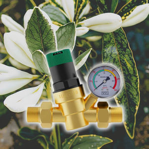 Soupape <span class=keywords><strong>de</strong></span> réduction <span class=keywords><strong>de</strong></span> <span class=keywords><strong>pression</strong></span> en laiton <span class=keywords><strong>de</strong></span> <span class=keywords><strong>pression</strong></span> d'<span class=keywords><strong>eau</strong></span> <span class=keywords><strong>de</strong></span> contrôle <span class=keywords><strong>de</strong></span> haute qualité avec jauge pour soupape <span class=keywords><strong>de</strong></span> décharge <span class=keywords><strong>de</strong></span> toute la <span class=keywords><strong>maison</strong></span> - Product Image 5