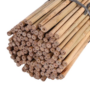 Caña <span class=keywords><strong>de</strong></span> <span class=keywords><strong>bambú</strong></span> para soporte <span class=keywords><strong>de</strong></span> plantas, 150cm, diámetro 12-14mm - Product Image 4