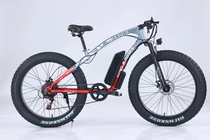 Vélo électrique sportif pour adulte, de haute qualité et à prix abordable, modèle Braver, avec batterie au lithium, idéal pour la plage et la neige, produit chinois très vendu. - Product Image 4
