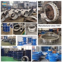 PE/HDPE/pvc管用LEEBOO DN100 PN10球墨铸铁圆形DI快速释放联轴器和约束法兰适配器