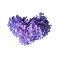 Bunga Hydrangea Asli Awet untuk Dekorasi Pernikahan & Hari Valentine, Tahan Lama 3-5 Tahun, Penjualan Langsung Pabrik