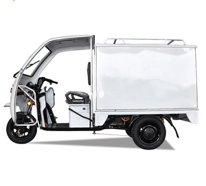 Venta Directa de Fábrica, Triciclo Eléctrico Cerrado de 3 Ruedas para Reparto, Carga Útil de 400 kg, Velocidad de 60 km/h, Autonomía de 50-70 km, Vehículo Eléctrico para Reparto - Product Image 1