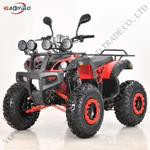 250cc atv и quad велосипед, способный преодолевать Броды для взрослых в спортивном стиле 4 колеса мотоцикла