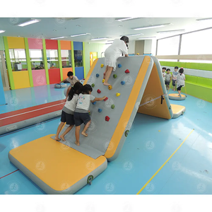 Inflatable Bouncer bouncy lâu đài khu vực softplay leo equipo sân chơi trong nhà cho trẻ em - Product Image 2