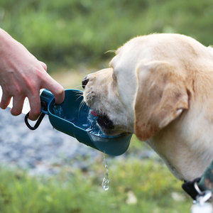 ขวดน้ำพลาสติก+ซิลิโคนสำหรับสุนัข ขนาด 500 มล. แบบพกพา ได้รับการรับรองจากสายการบิน ดีไซน์ทันสมัย สำหรับเดินทางกลางแจ้ง พร้อมอุปกรณ์ให้อาหารสัตว์เลี้ยง - Product Image 2