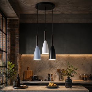 Luminaires suspendus en fer de l'usine d'éclairage de Zhongshan, style moderne minimaliste noir, pour éclairage de plafond domestique - Product Image 1