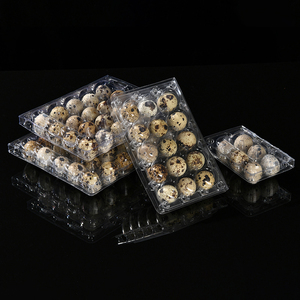 Bandeja para Huevos de Codorniz de Material <span class=keywords><strong>PET</strong></span> de Grado Alimenticio, Alta Transparencia, 30/5*6 Piezas, 198x164x40mm, Venta Caliente, Suministros para Supermercados - Product Image 2