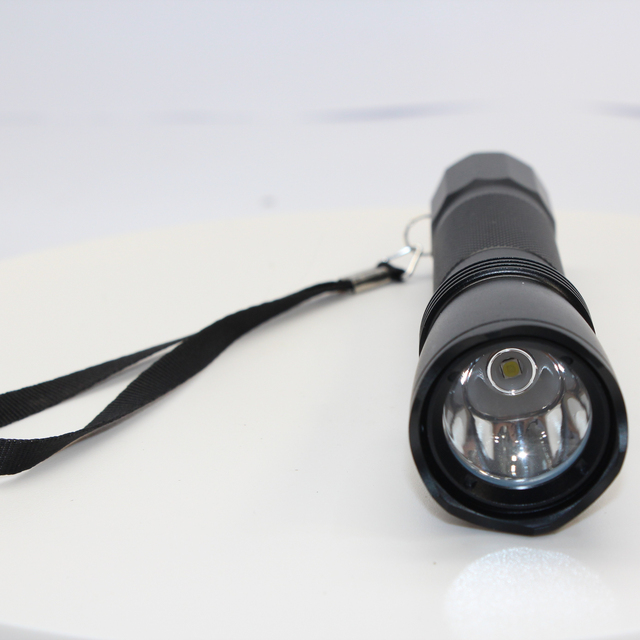 LED IP66 Explosion Proof Flashlight for Hazardous Areas EPFL01-3W