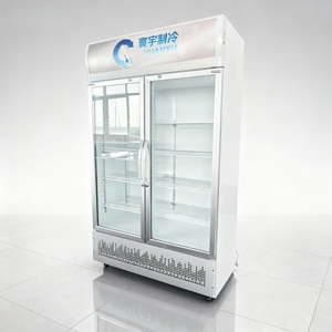 Réfrigérateur vertical de présentation pour boissons de magasin de proximité, avec porte vitrée, sans givre, à refroidissement direct par ventilateur, pour bières et boissons - Product Image 4