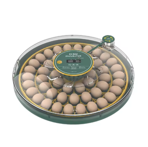 Incubadora <span class=keywords><strong>de</strong></span> Huevos Más Vendida, Modelo Solar, Precio Accesible, Compras al por Mayor con Mejores Ofertas - Product Image 3