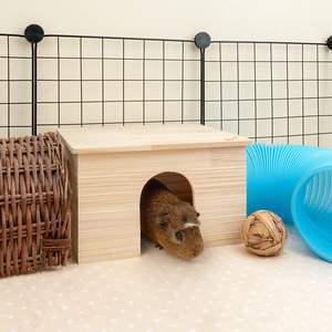 Maison de hamster en bois personnalisée pour <span class=keywords><strong>chinchilla</strong></span> tunnel pour animaux de compagnie <span class=keywords><strong>cage</strong></span> à rat cochon d'Inde avec fenêtre - Product Image 1