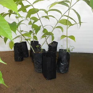 Bán Buôn Sapling Grow Bag Với Lỗ Đen Trồng Túi Nhựa Vườn Ươm Túi Cho Trái Cây Và Rau Quả