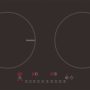 Olla Eléctrica de Inducción de Alta Calidad con Doble Calentador y 3 Años de Garantía - Product Image 2