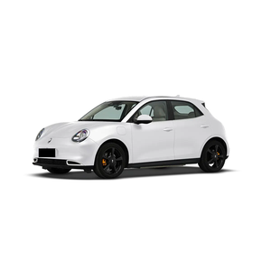 Euler Cat 2025 modelo clásico EV SUV 401km batería de litio coche eléctrico con caja de cambios automática y motor EV Vehículo de nueva energía - Product Image 1