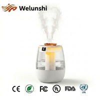 Humidificateur d'air à double pulvérisation WLS-1303 OEM, atomisation nano, réservoir d'eau visible, humidificateurs ultrasoniques pour bureau et maison