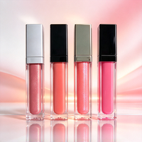 Vente en gros de gloss à lèvres personnalisé avec logo, de haute qualité, avec miroir, rouge à lèvres liquide pur imperméable, gloss à lèvres brillant en tube