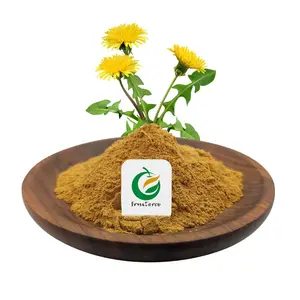 Wholesale Bulk Taraxacum Mongolicum 10:1 Dandelion Herb Root Leaf Extract Powder Dandelion Extract