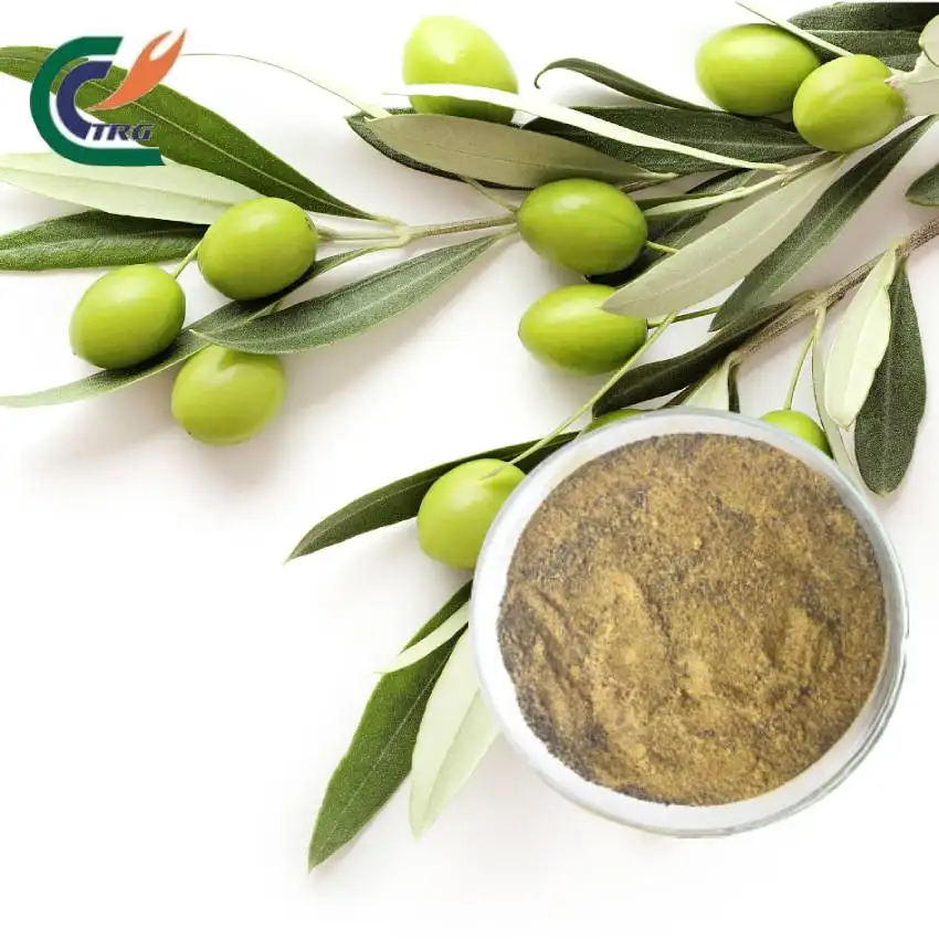 Extracto de hoja de oliva, 6% oleuropeina en polvo a granel