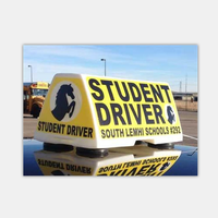 Prix d'usine Chine, sans MOQ, livraison directe, lumière statique pour taxi et auto-école, solution publicitaire pour taxi