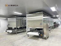 Automatische Gedroogde Groenten En Fruit Productielijn Gedehydrateerde Droge Vruchten Groenten Chips Dobbelstenen Drogen Verwerking Machine