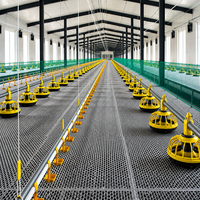 Système d'élevage avicole complet pour 30 000 volailles, poulailler automatique pour poulets de chair, système d'alimentation et d'abreuvement, équipement de ferme de grande taille