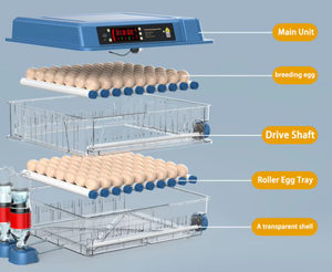 Inkubator telur otomatis kapasitas 16, 12, 128, 300, 256, 8000, 48, 10000, 500, 5280, 200 untuk ayam dan bebek. - Product Image 6