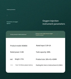 OEM ODM Nouveau Vaporisateur Facial Nano pour Soins <span class=keywords><strong>de</strong></span> la Peau à l'Oxygène, Rechargeable par Type-C, Portable, Brume Fine Hydratante pour Utilisation en Voiture - Product Image 6