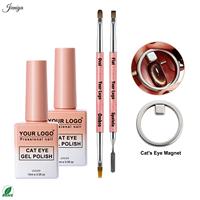 Kit de vernis gel UV effet œil de chat pailleté réfléchissant avec 2 pinceaux gel double embout et bâtonnet magnétique pour la décoration des ongles