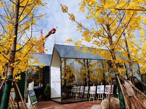 Villa miniature <span class=keywords><strong>de</strong></span> style européen et américain, structure en acier, design créatif triangulaire, design moderne, hôtel, <span class=keywords><strong>location</strong></span> <span class=keywords><strong>de</strong></span> gîte - Product Image 2