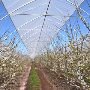 Serra a tunnel multispan da 1 ettaro per agricoltura, con sistema di drenaggio per mirtilli e fragole - Product Image 1