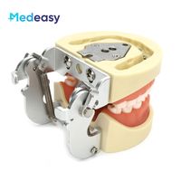 Modelo de Dientes para Estudiantes de Odontología, Simulación Médica, Encías Suaves, Silicona de Alta Calidad, PVC, 8x6.5cm, para Preparación