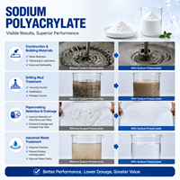 Polyacrylate de sodium (SAP) pour peintures industrielles, revêtements et épaississants textiles – Poudre blanche haute viscosité de l'usine DA QIAN