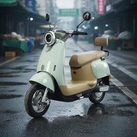 TYCORUN CKD SKD Scooter Électrique 2 Roues 10 Pouces 800W Vitesse 45km/h Style Cool Moto Électrique Adulte