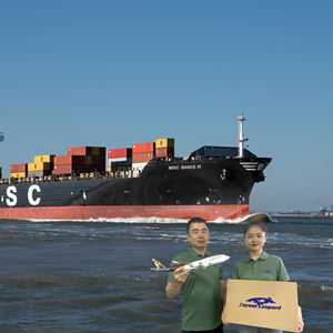 चीन से अमेरिकी कनाडा के लिए मुफ्त सीमा शुल्क निकासी फारवर्डर शिपिंग एजेंट - Product Image 3