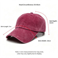 Wins Flying Outdoor Zonnebeschermende Cross-border 6-Panel Baseball Cap met Paardenstaartgat Gewassen Verweerde Design Aangepaste logo
