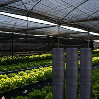 Zwarte HDPE warp gebreide, heavy-duty, UV-bestendige, anti-verouderings landbouw schaduwnet voor groenteteelt in kassen en tunnels.